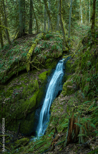 Chuckanut Falls is a beautiful waterfall located in Washington State on the Chuckanut drive. A scenic location at America’s Pacific North West