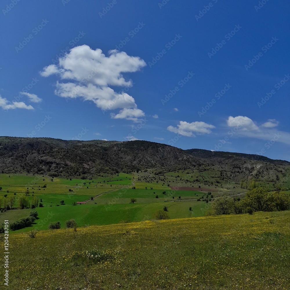A wide valley covered with yellow flowers and greenery, hills rising in the distance and a clear blue sky. A wide valley covered with yellow flowers and greenery, hills rising in the distance and a clear blue sky.
