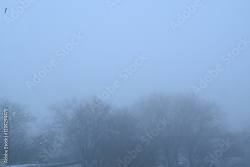 Winter trees colg indistrie place ruhrgebiet