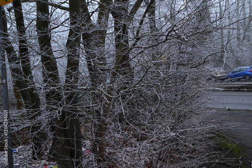 Winter trees colg indistrie place ruhrgebiet photo