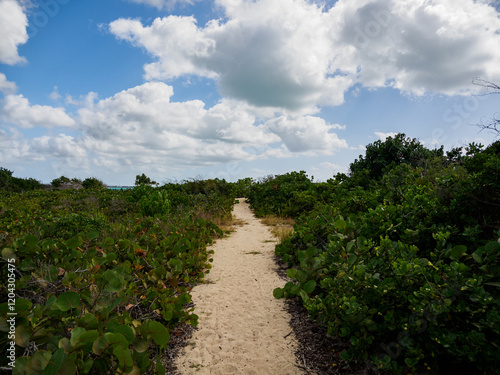 Pathway to the Beach at Sandy Point Beach