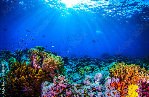 Wallpaper Mural Underwater world landscape. Underwater light in deep Torontodigital.ca