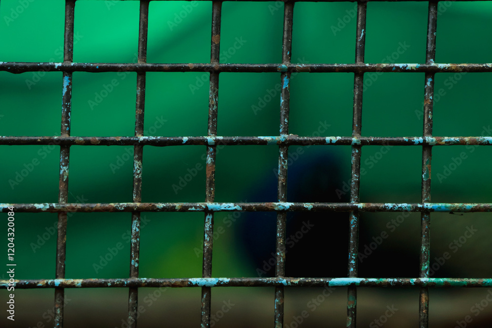 Abstract Cage with Squared Boxes and Green Blurred Background: A Creative Concept Abstract Cage with Squared Boxes and Green Blurred Background: A Creative Concept