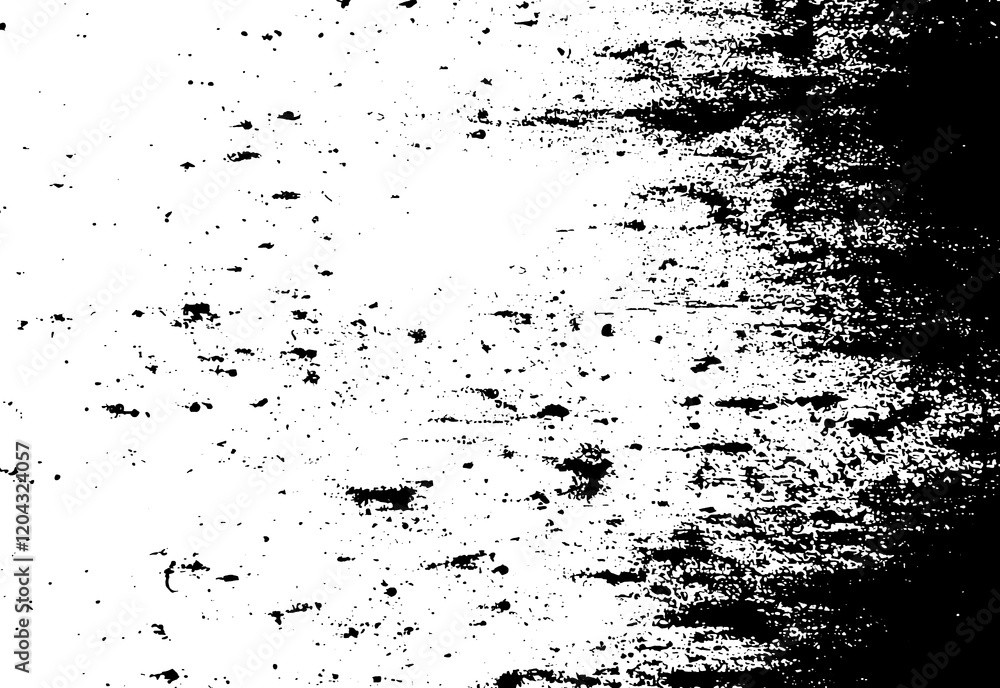 Fototapeta premium Black and white paints texture background brushes