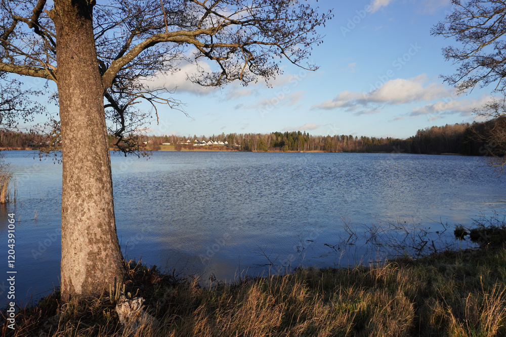 Scenic view of a lake during the autumn Scenic view of a lake during the autumn