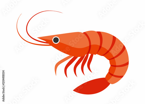 illustration of shrimp