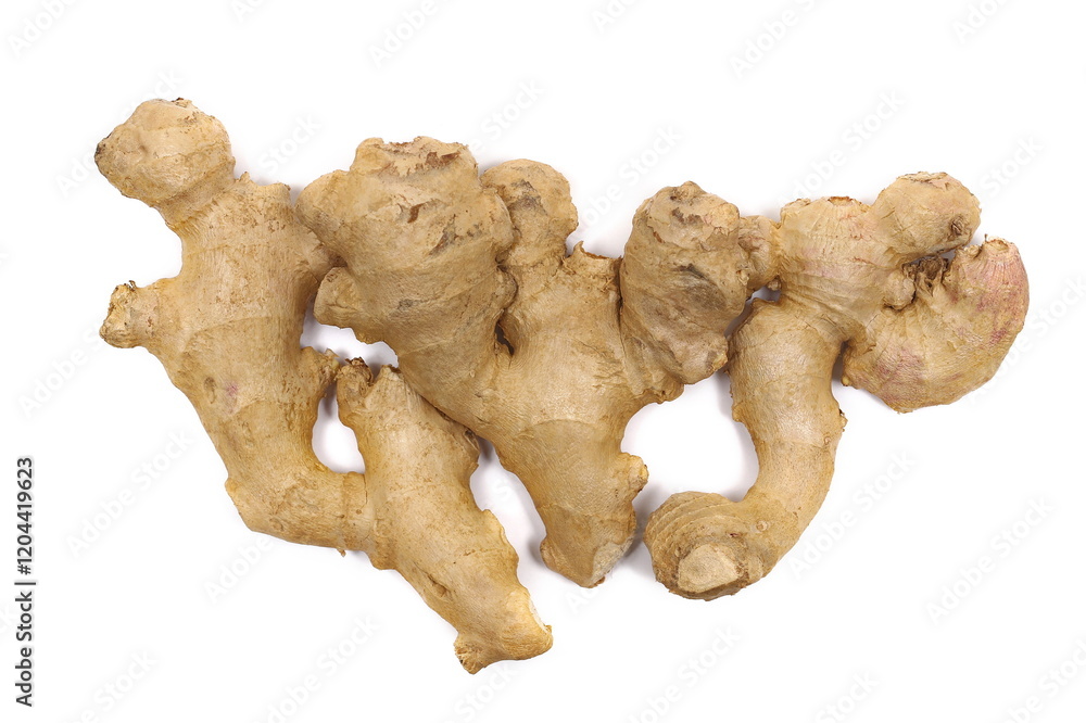 Ginger roots isolated on white, top view Ginger roots isolated on white, top view