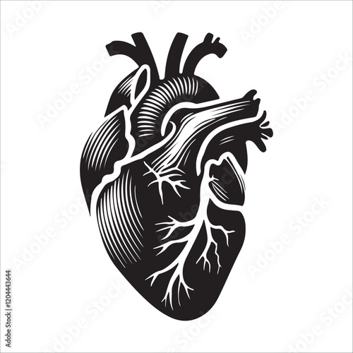 Human heart vector silhouette, icon