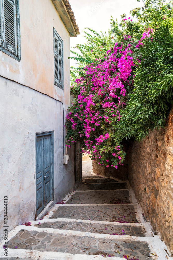 Naklejka premium Stone Pathway with Bougainvillea in Koroni
