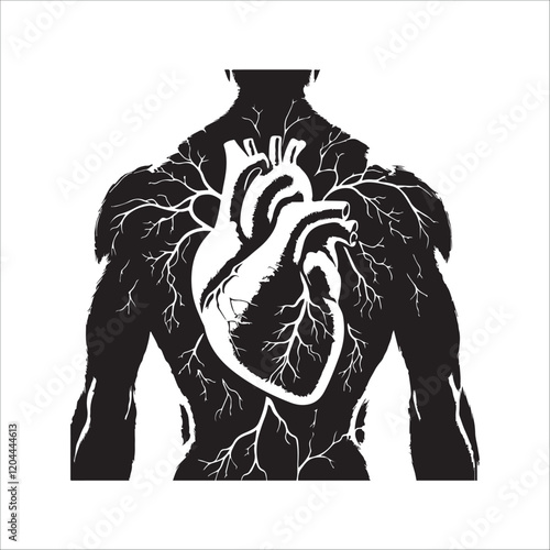 Human heart vector silhouette, icon