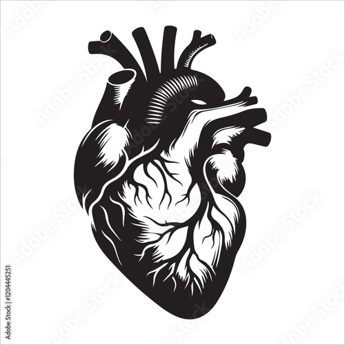 Human heart vector silhouette, icon