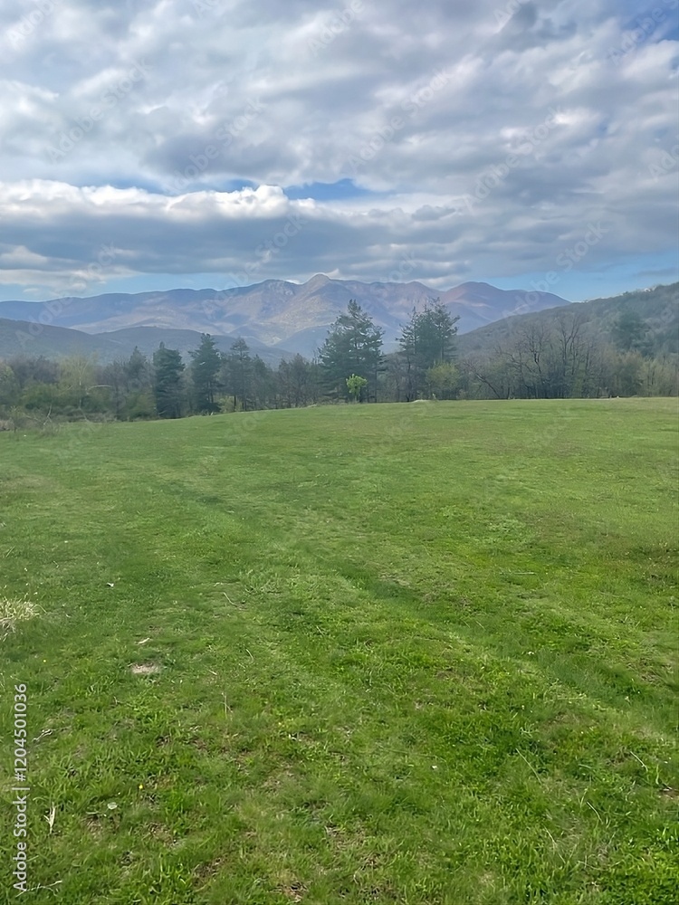 Obraz premium A wide green field extending towards a distant mountain range under a partly cloudy sky, surrounded by scattered trees and serene natural beauty.