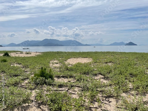 植物に覆われた島から見た、海と山の景色 photo