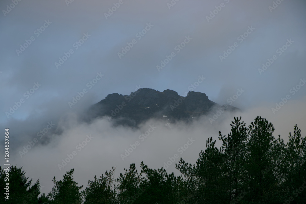 fog in the mountains