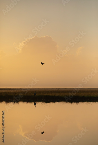 Amanecer en el campo con niebla y reflejo