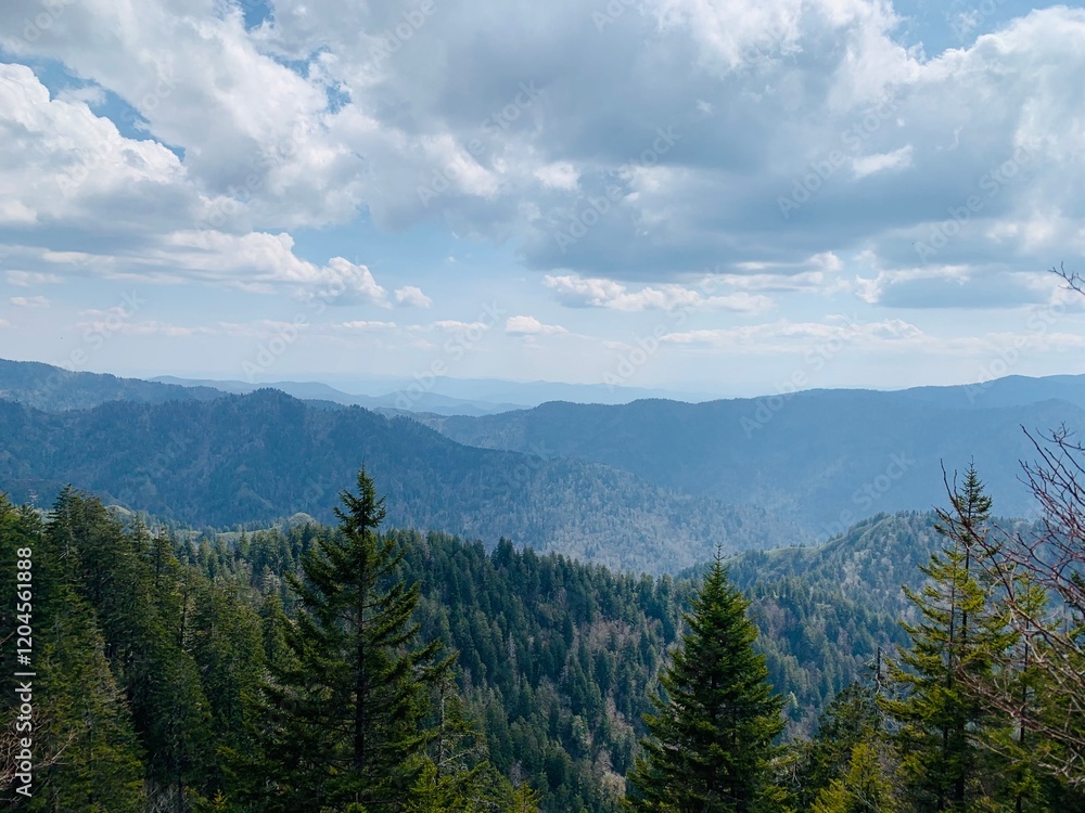 Smoky Mountains Smoky Mountains