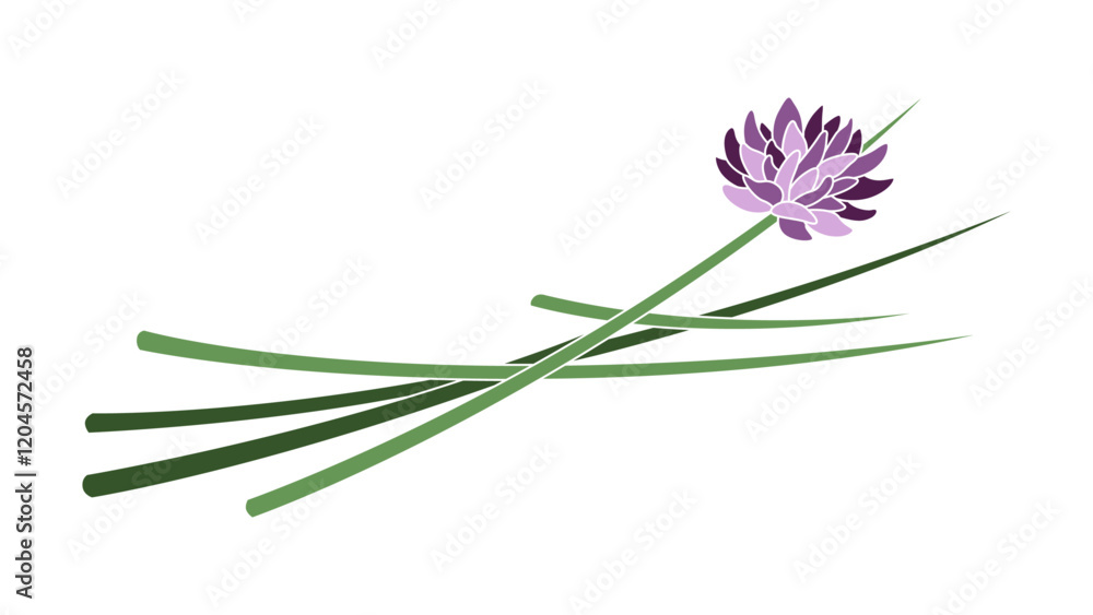 Fototapeta premium Chives Illustration Colored with Outlined Stroke Isolated Vector Art