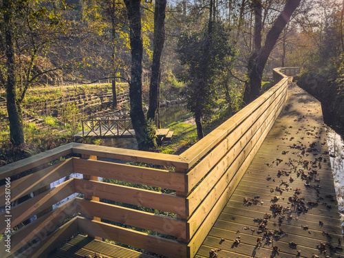 Porto de Riba Watermill walkways in the municipality of Albergaria a Velha, Aveiro - Portugal.