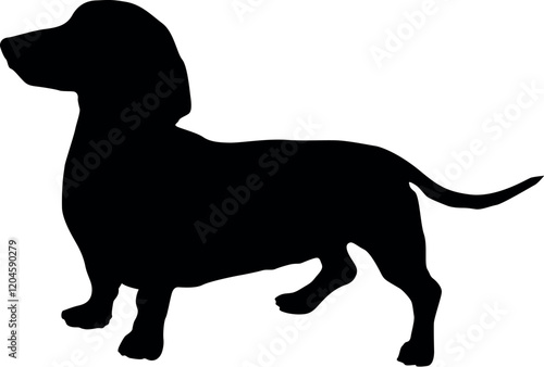 Black Animal Dog Silhouettes Vector illustration