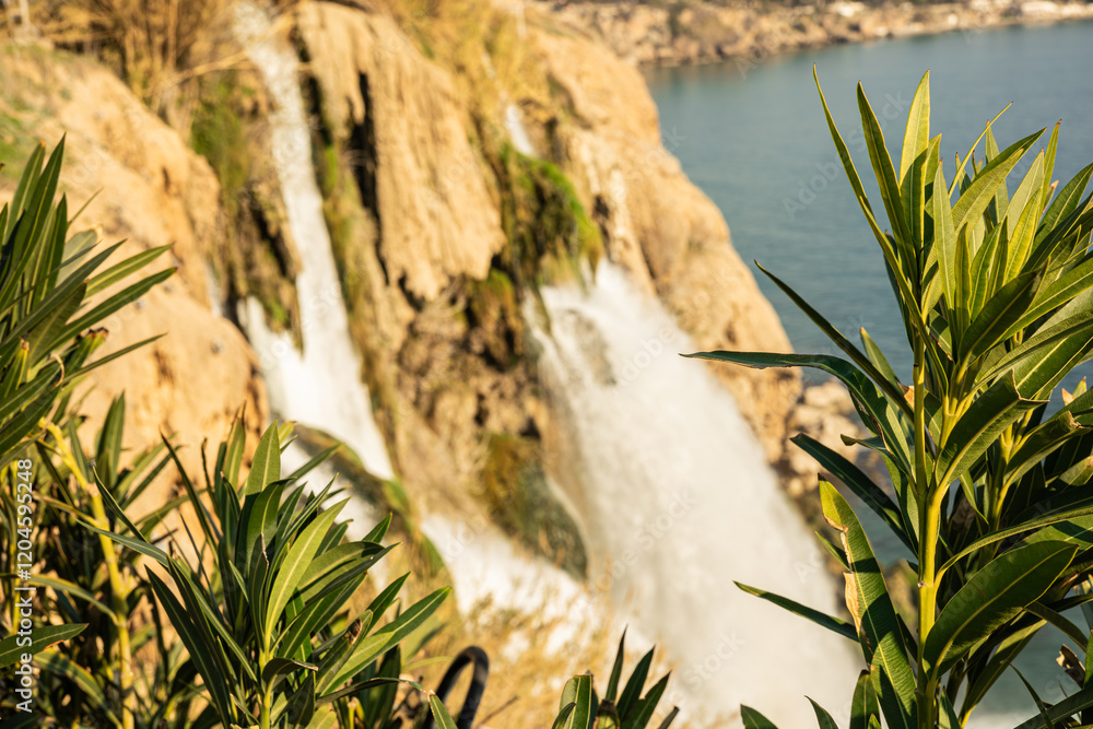 Majestic waterfall cascading into river with lush greenery Majestic waterfall cascading into river with lush greenery