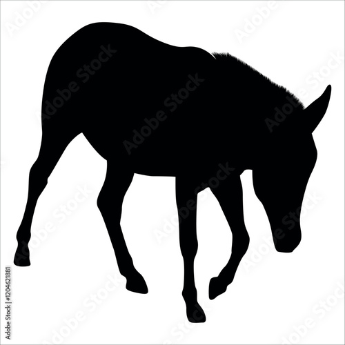 Animal Donkey Silhouette Vector illustration