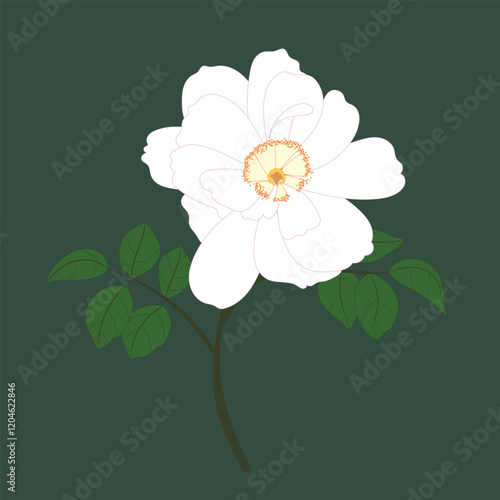 A beautiful white flower with stems and leaves, perfect for nature-themed designs, posters, and cards