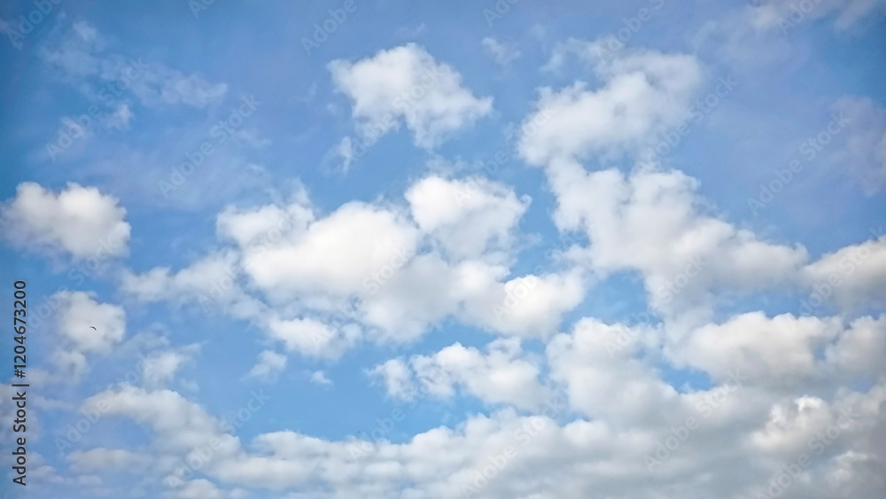 Summer blue sky cloud gradient light white background. Gloomy vivid cyan landscape in environment day horizon skyline view spring wind Summer blue sky cloud gradient light white background. Gloomy vivid cyan landscape in environment day horizon skyline view spring wind