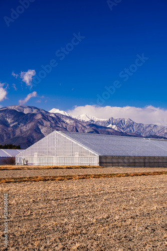 冬の美しい北アルプスと農業地帯