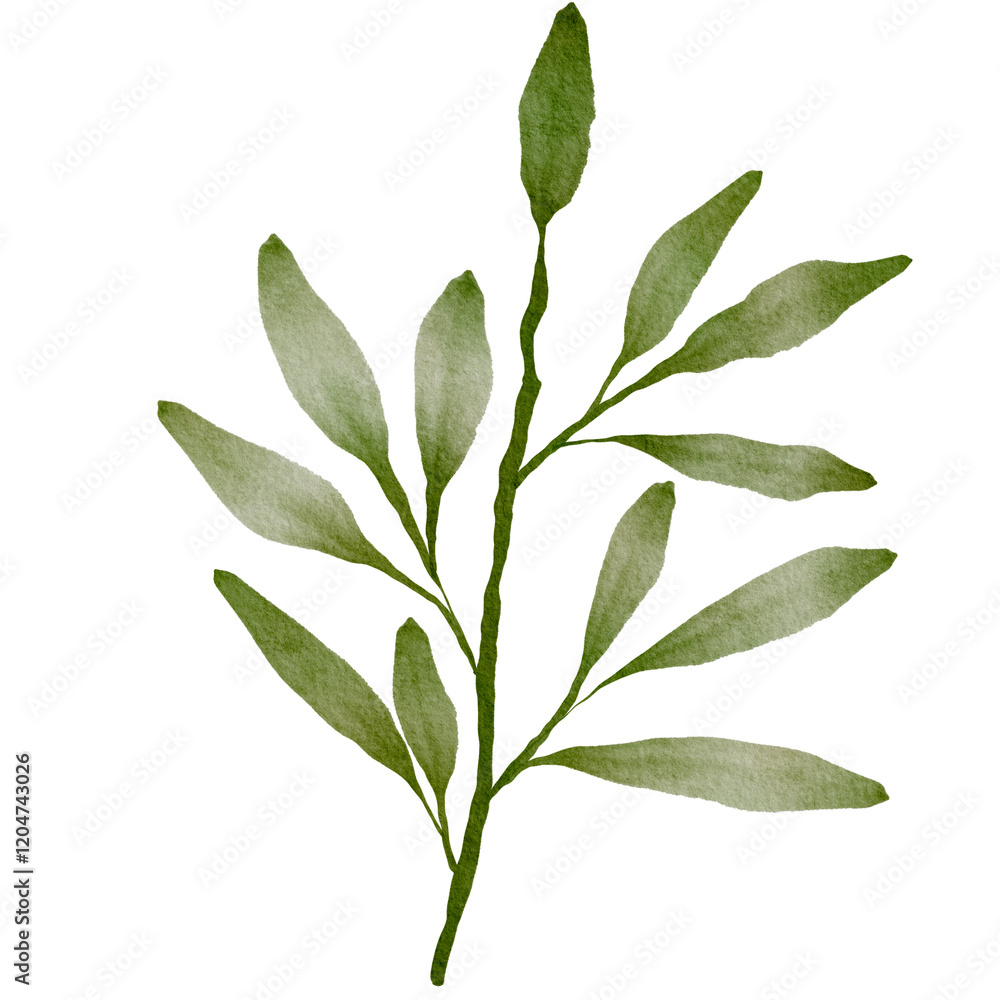 Obraz premium Green Leaves Watercolor
