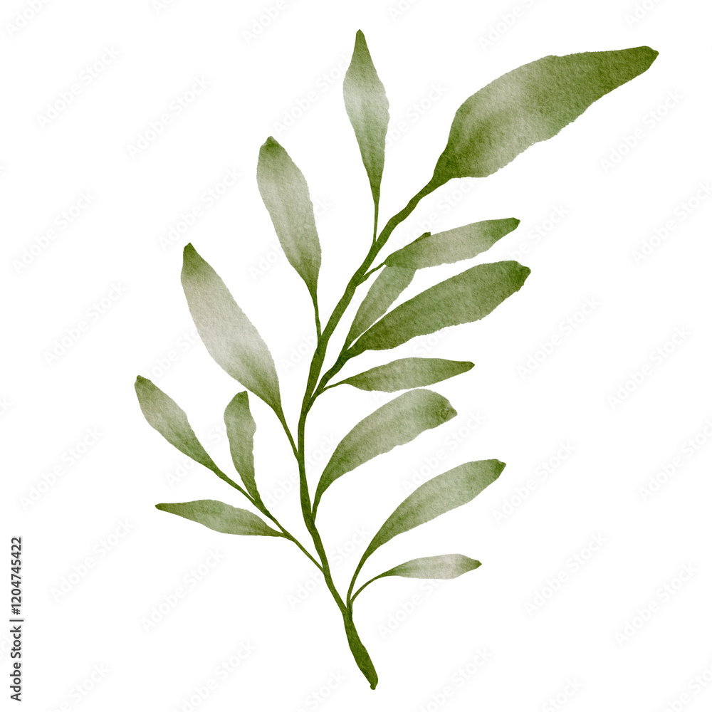 Obraz premium Green Leaves Watercolor