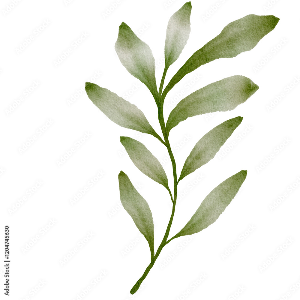 Obraz premium Green Leaves Watercolor
