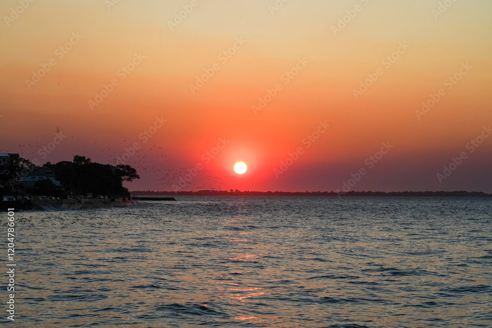 Fototapeta premium Sunset Over Calm Waters with Silhouettes of Birds and Trees Along the Shoreline 