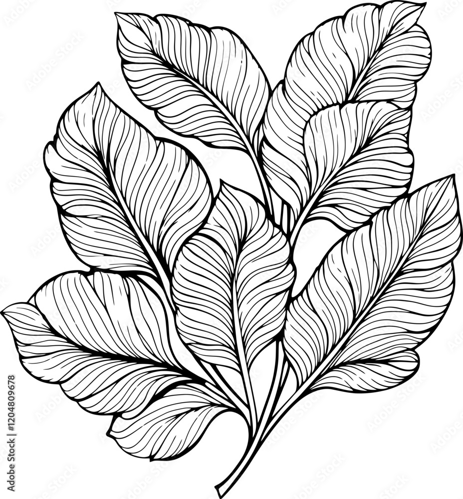 handdrawn leaves line art drawing handdrawn leaves line art drawing