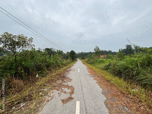 Quiet Asphalt Road Framed by Tropical Greenery and Yellowing Grass Under an Overcast Sky photo