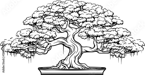 bonsai tree drawing