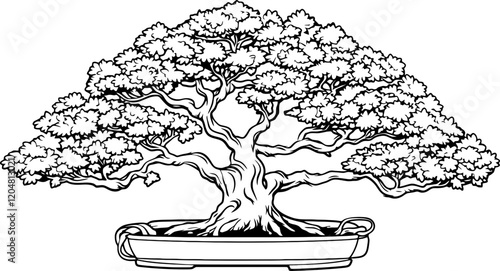 bonsai tree drawing