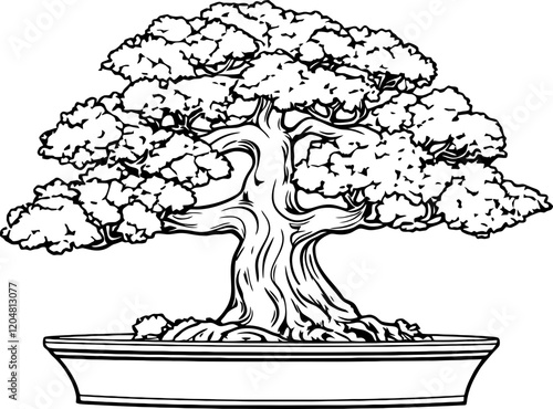 bonsai tree drawing