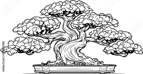 bonsai tree drawing