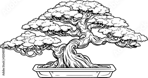 bonsai tree drawing