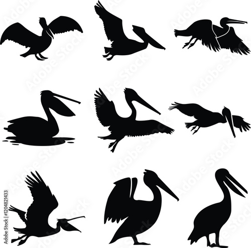 Collection of silhouettes of pelican birds