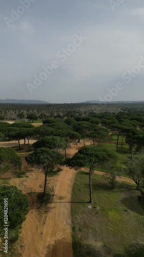 view from the hill