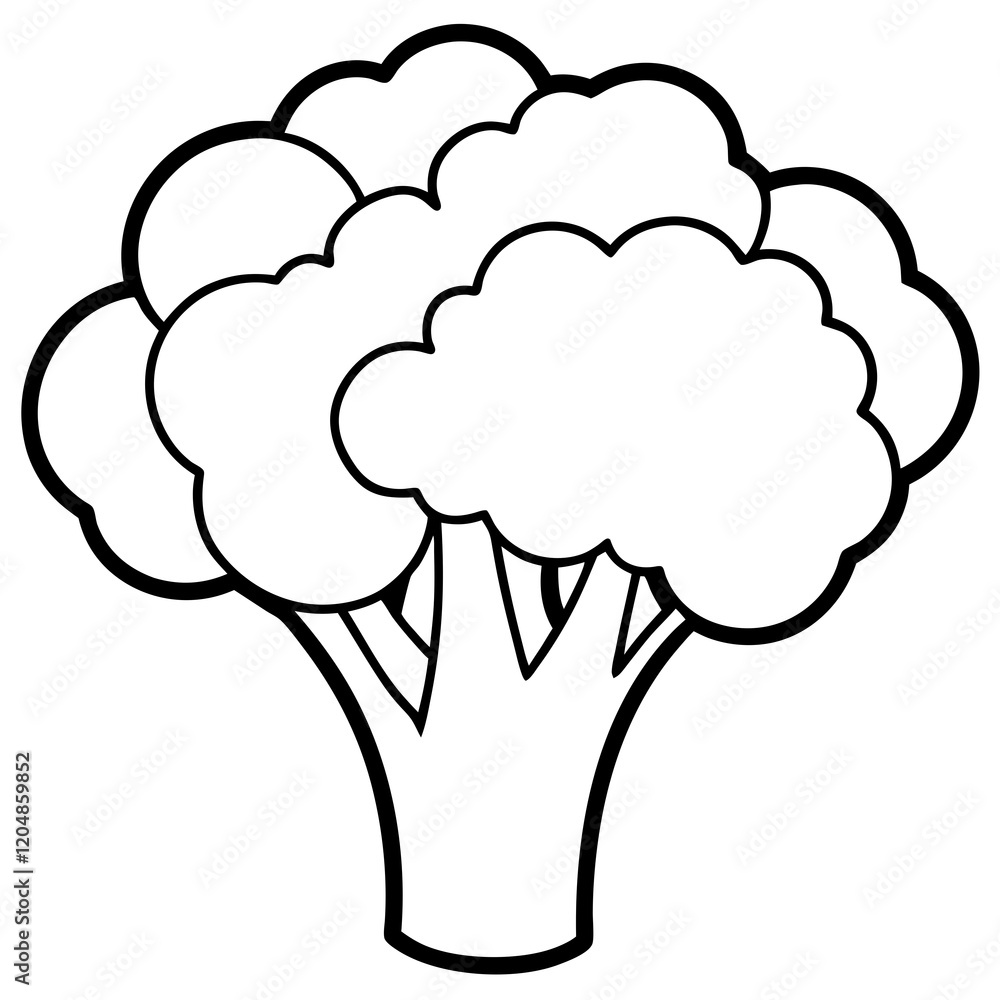 Simple Broccoli Outline Illustration Simple Broccoli Outline Illustration