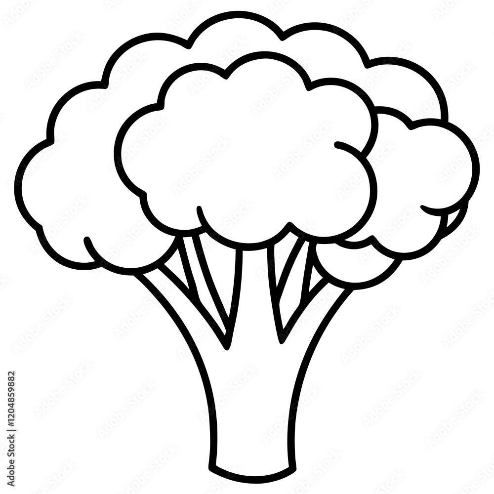 Simple Broccoli Outline Illustration Simple Broccoli Outline Illustration