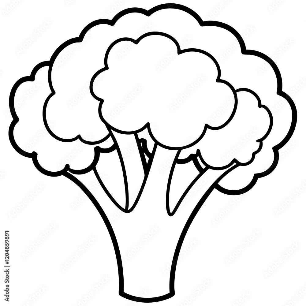 Simple Broccoli Outline Illustration Simple Broccoli Outline Illustration