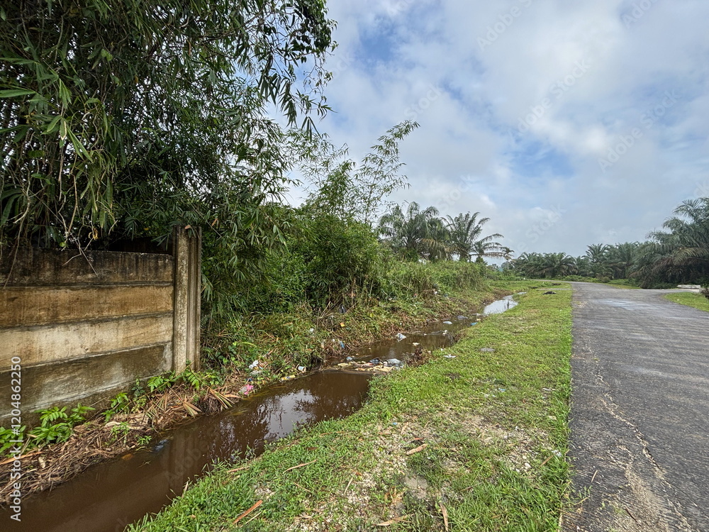 Tropical Plants, Bamboo Trees, and Trash-Littered Ditch Along the Asphalt Road Tropical Plants, Bamboo Trees, and Trash-Littered Ditch Along the Asphalt Road