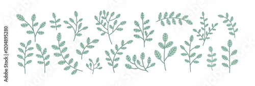 Botanical elements set. Collection of leaves and branches. Vector illustration.