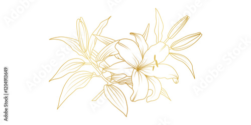 Golden lily flowers line art isolated on white background. Luxury lilies floral design elements for invitation, wedding, wallpaper, print template, vector illustration