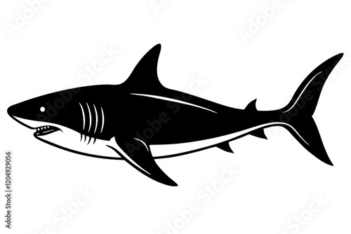 shark illustration