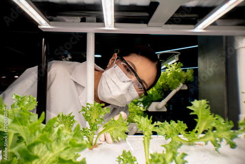 Researcher analyzing hydroponic vegetable growth in a laboratory setting, highlighting sustainable farming techniques and advanced agricultural practices. photo