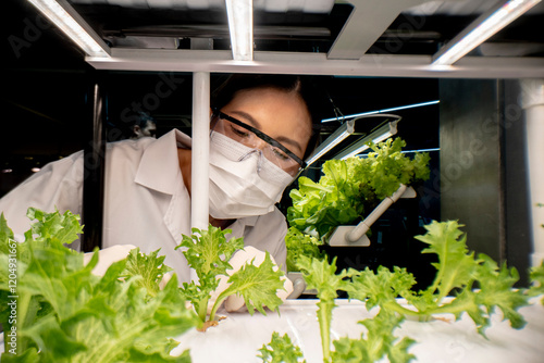 Researcher analyzing hydroponic vegetable growth in a laboratory setting, highlighting sustainable farming techniques and advanced agricultural practices. photo